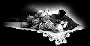 розы на скатерти - картинки для гравировки